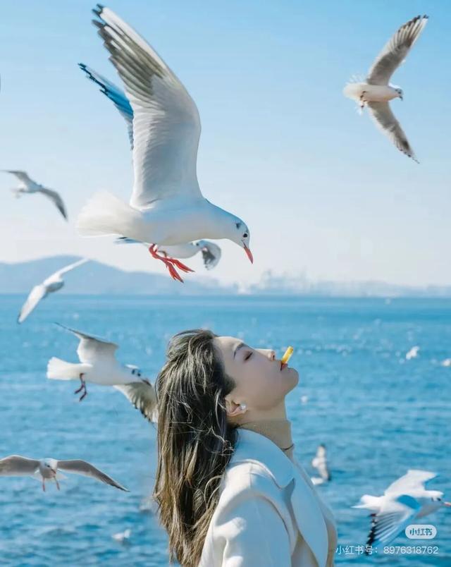 “西伯利亚来客”凭啥“操盘”青岛冬游？