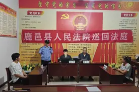 一场夜幕下的巡回审判图片