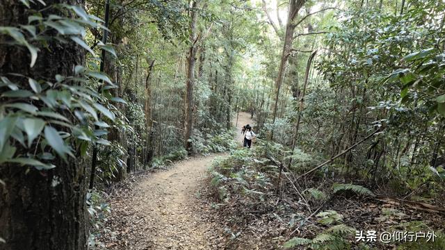 河源黄牛石象鼻石徒步穿越