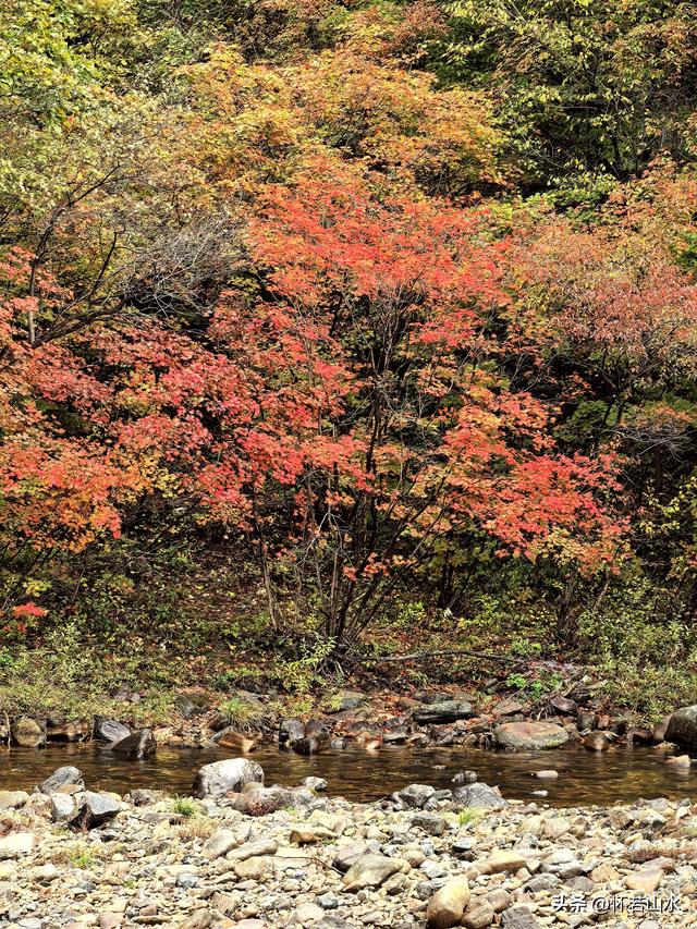 2025辽宁赏秋之旅日记(2)——游览丹东蒲石河森林公园