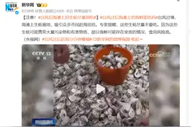 注意！台风后海滩上的生蚝尽量别吃图片