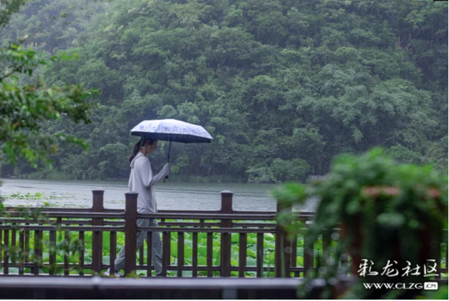 水墨丹青普者黑 荷风烟雨画中游