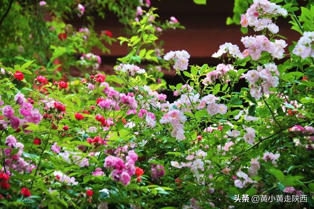 99%陕西人没听过的秦岭小山，海拔只有太白山1/4，却被写入史书！