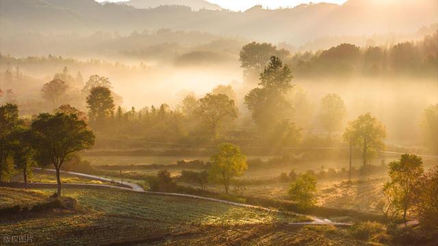 11月-12月，深秋时节，适合去赏秋的7个城市，秋景密集，景观多样