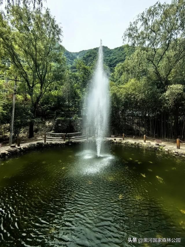 请查收~秋天寄来一封绿信，落款是黑河
