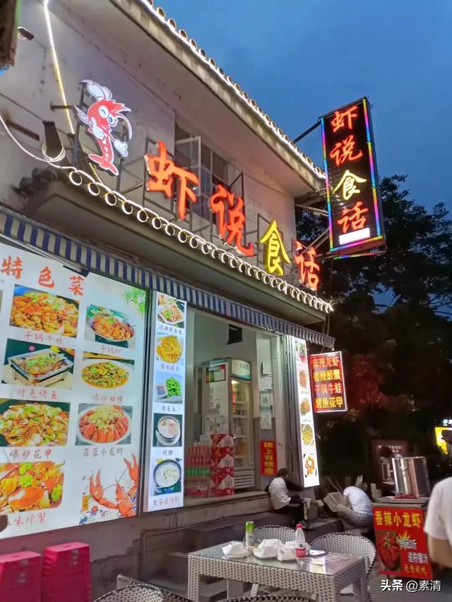 逃离“班味”，邂逅旅行中的本心鱼能量