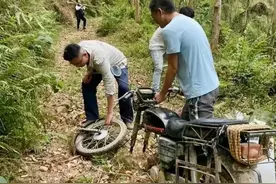 华南F3祭祖拜山的场景图片