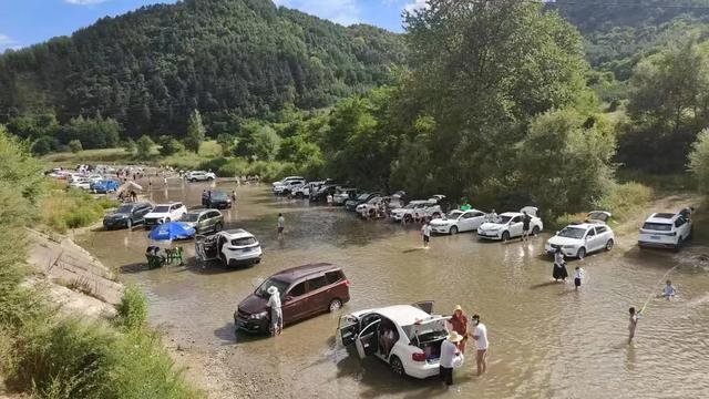 【特别推荐】秦州城畔李子园:一树繁花一夏清凉!