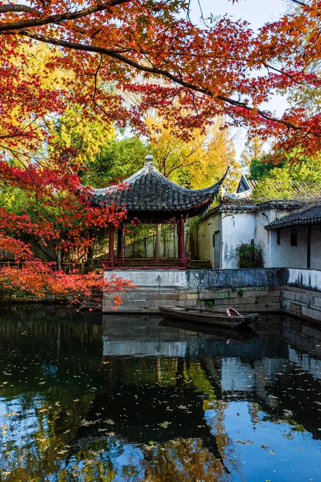 枫叶不输北国，园林比故宫浪漫！这座城市私藏了江南的所有秋天