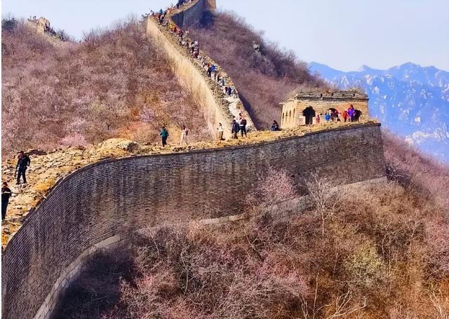 北京春日限定 | 8条绝美赏花徒步路线，承包你整个春天的浪漫！