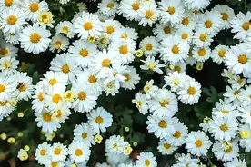 帮朋友写篇追悼会后答谢词图片