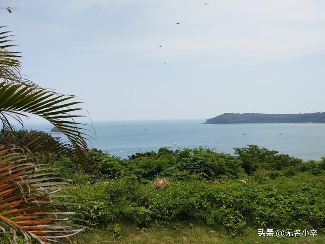 又到去广西北海旅居避寒的时间了，依旧热闹，它究竟有何魅力呢