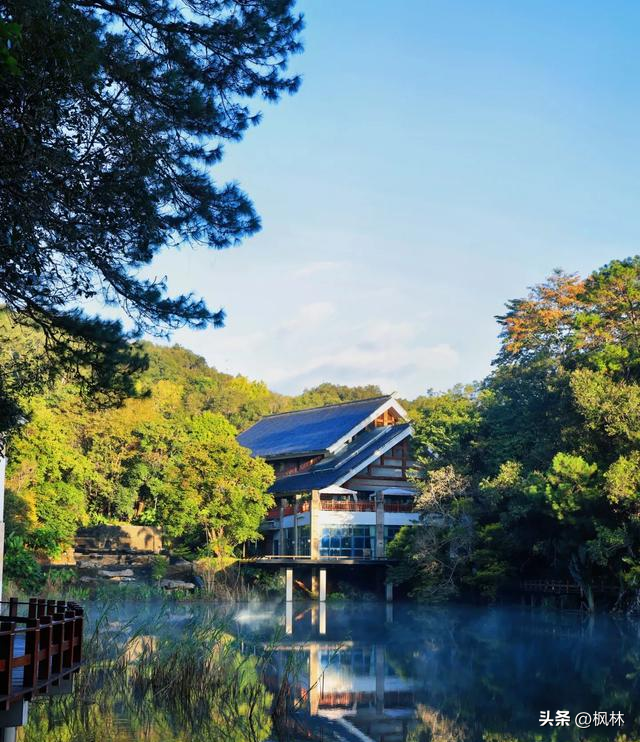 我爸妈旅居云南普洱一年，直呼普洱这三点太舍不得，不想回杭州了