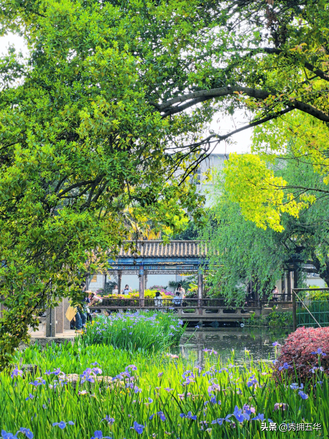 当“避寒旅居”邂逅“春城”！昆明上榜TOP10