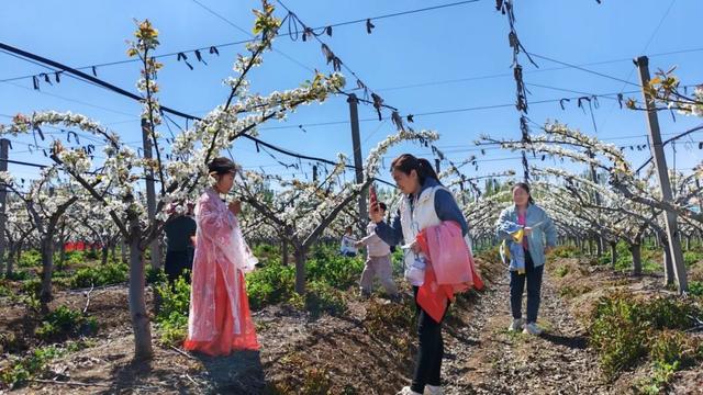 93.24万人次！济宁清明小长假“热”力全开