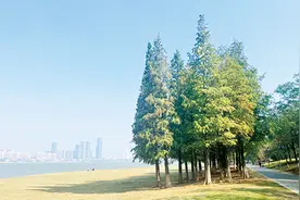 江西各地阳光回归！市民户外出游 邂逅“醉”美秋景图片