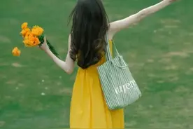 『可可爱爱的姓氏昵称🦋』图片