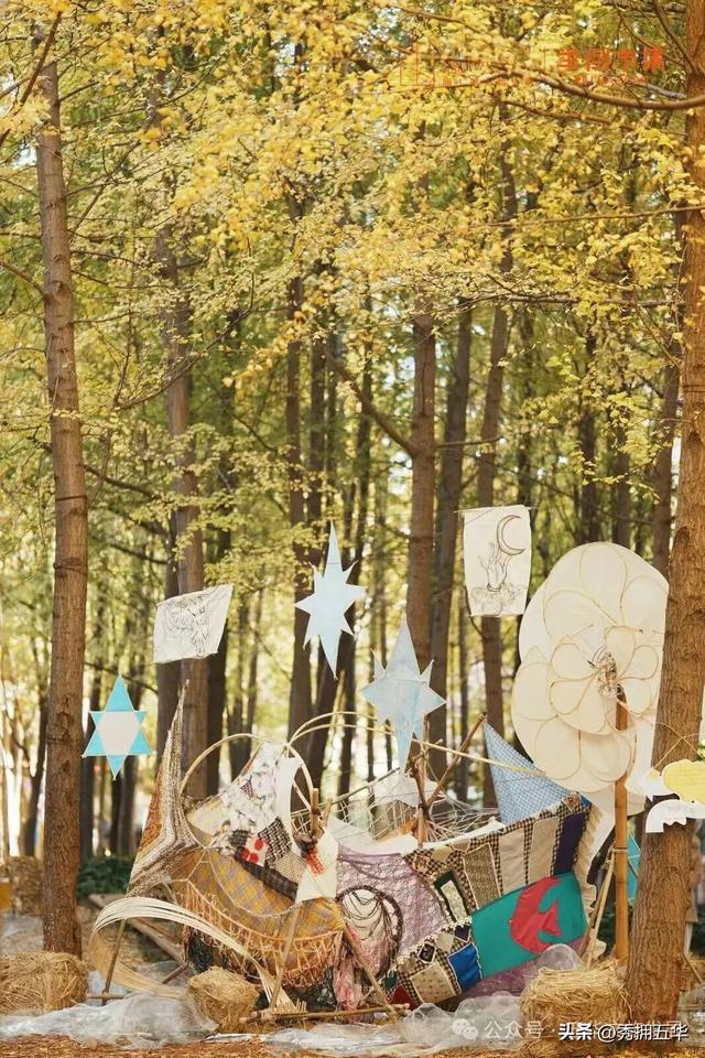 赏银杏、会海鸥，邂逅一场丰容的“昆明式暖冬”