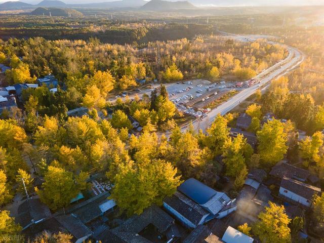 11月-12月，深秋时节，适合去赏秋的7个城市，秋景密集，景观多样