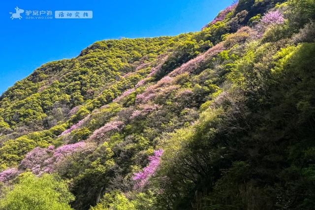 西安周边春季必爬8座山,最近1h直达,山间春色满,清明假期冲!