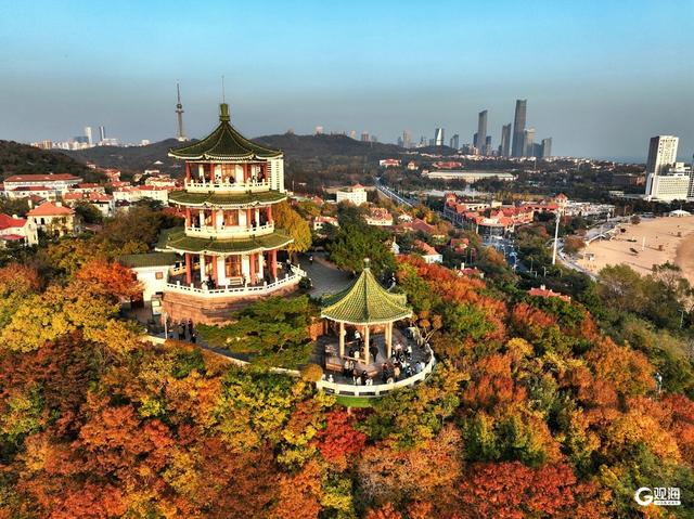来青岛这里欣赏“秋景未尽”的诗意