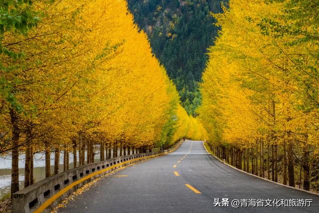 西宁，把秋天藏进了这些地方...