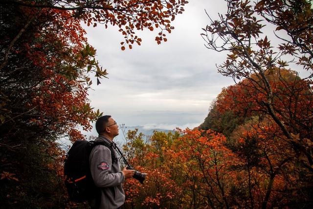 邂逅剑门蜀道的斑斓冬日