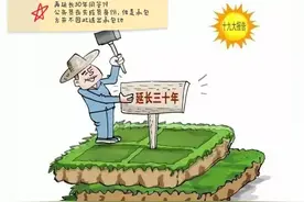 再延长三十年问答（十九）家庭成员考录为公务员后是否退出承包地图片