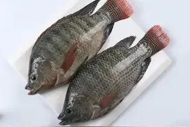 揭秘菜市场最脏的5种鱼，寄生虫重金属，慎选食材保家庭安全！图片