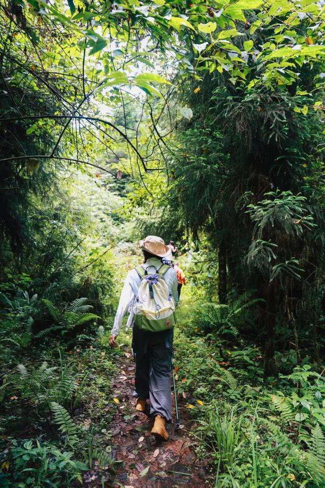 秋假第一站，就定这里！这片绝美彩林人少景美，速来赏秋！