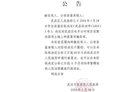 刚刚！武汉这些地方将启动大规模拆迁！图片