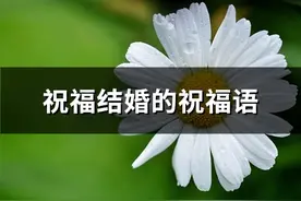 祝福结婚的祝福语(推荐70句)图片