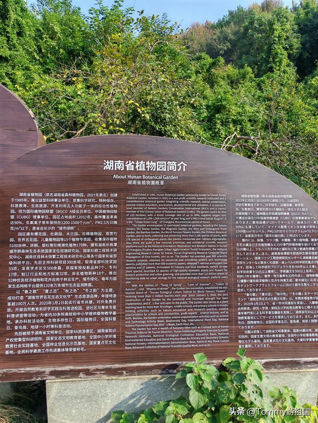 开着房车去流浪：打卡湖南省植物园