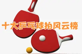 十大乒乓球拍风云榜揭晓，一拍在手，爱好我有图片