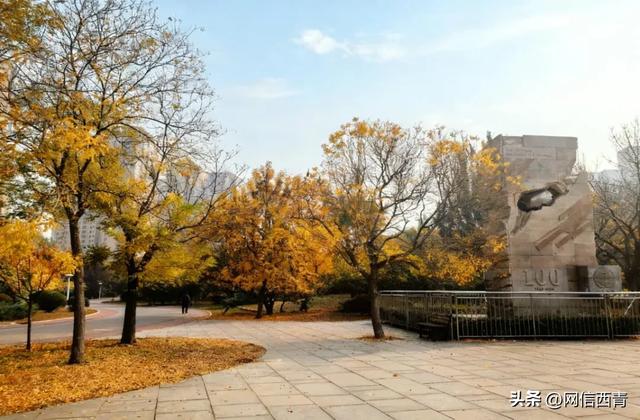 不出天津,也能“周末到河北”……