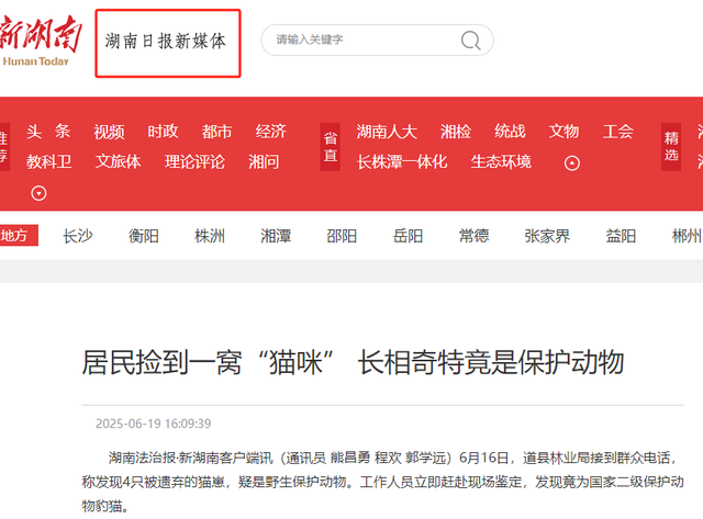 禁止私自饲养！湖南女子废木料里发现4只，养半月后匆忙上交