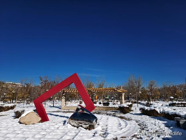 新疆乌鲁木齐红光山大佛寺