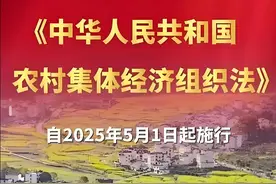 新法5.1起实施，享农村权益，5类人群也能加入村集体了图片