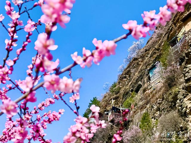 诗意春芳华·花开张家川