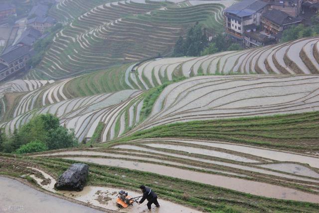 去了趟桂林才发现，真正值得看的根本不在阳朔西街