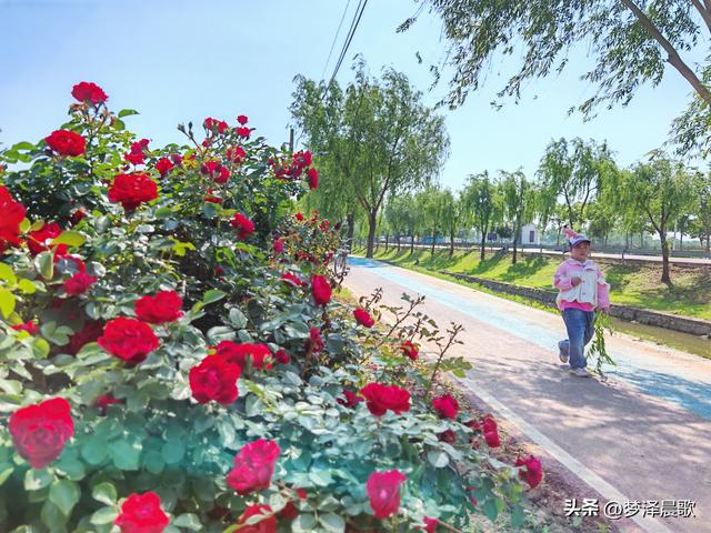 云梦初夏好风光，秦皇河畔醉田园