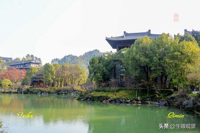 影记 | 衢州根雕艺术之都——根宫佛国(上)