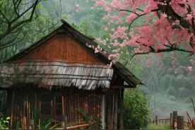 九十三岁的婆婆，身体健康又长寿的秘诀是什么图片