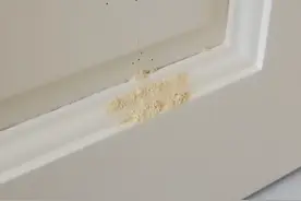 “1扇门被虫蛀，5扇门关不上”！海口一市民：订购12扇门，安装好后……图片