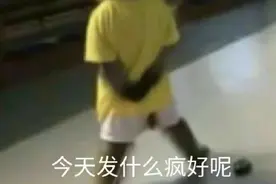 为什么现在的年轻人喜欢用猴子的表情包图片