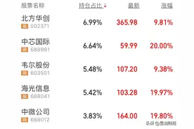 半导体龙头，多个全球第一，国家大基金重仓，机构扎堆抄底了图片