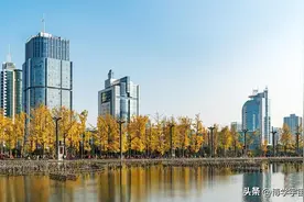 母亲节前一天儿子请我吃饭，我说错了一句话，内心的平静彻底打乱图片