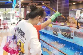 谨防“海鲜刺客”！女子在超市捞鱼被刺致八级伤残！图片
