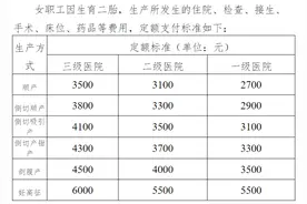河北省秦皇岛市生育补贴最新政策（2025年最新）图片