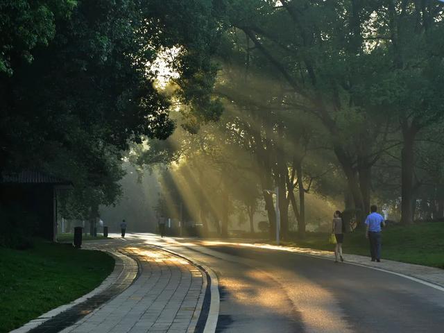 初秋的美好，从清晨开始美景令人醉，让我们带着好心情从快乐出发